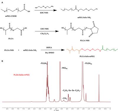 ROS-Sensitive Nanoparticles Co-delivering Dexamethasone and CDMP-1 for the Treatment of Osteoarthritis Through Chondrogenic Differentiation Induction and Inflammation Inhibition